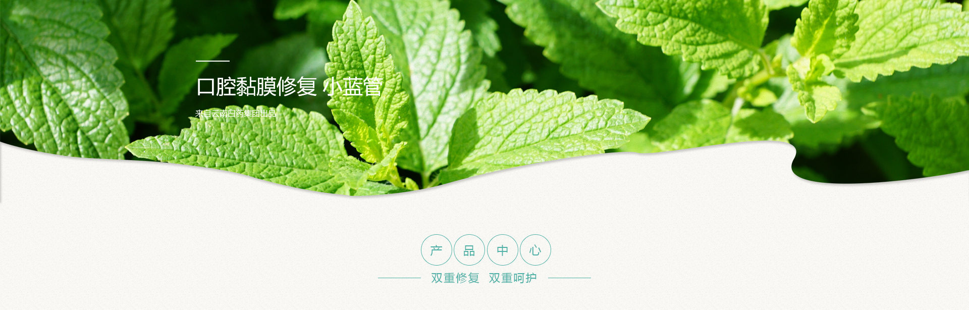 Ӯ(VWIN)ٷվ-ACٷ