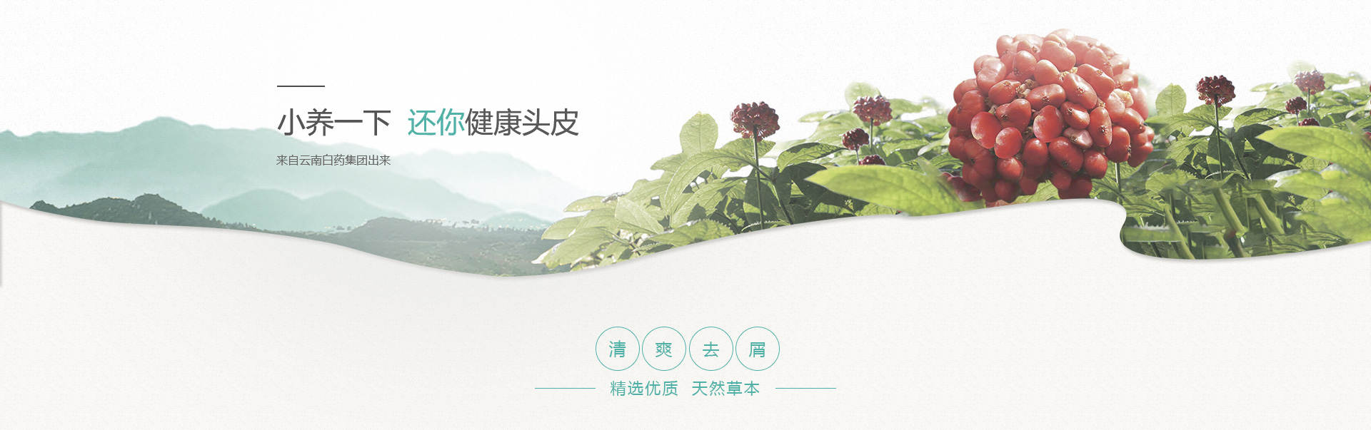 Ӯ(VWIN)ٷվ-ACٷ