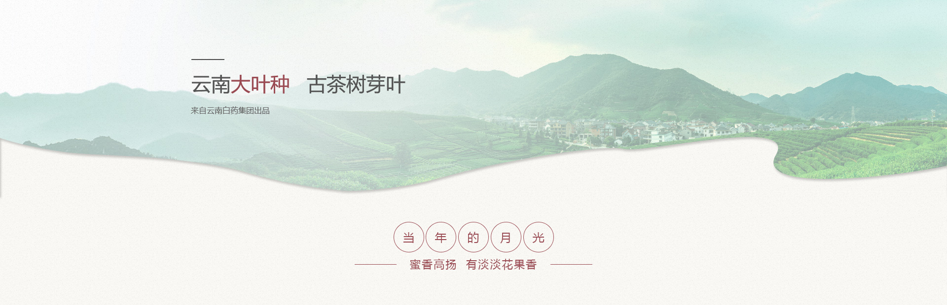 Ӯ(VWIN)ٷվ-ACٷ
