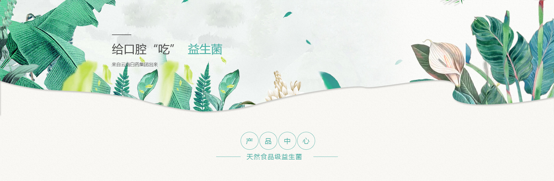 Ӯ(VWIN)ٷվ-ACٷ
