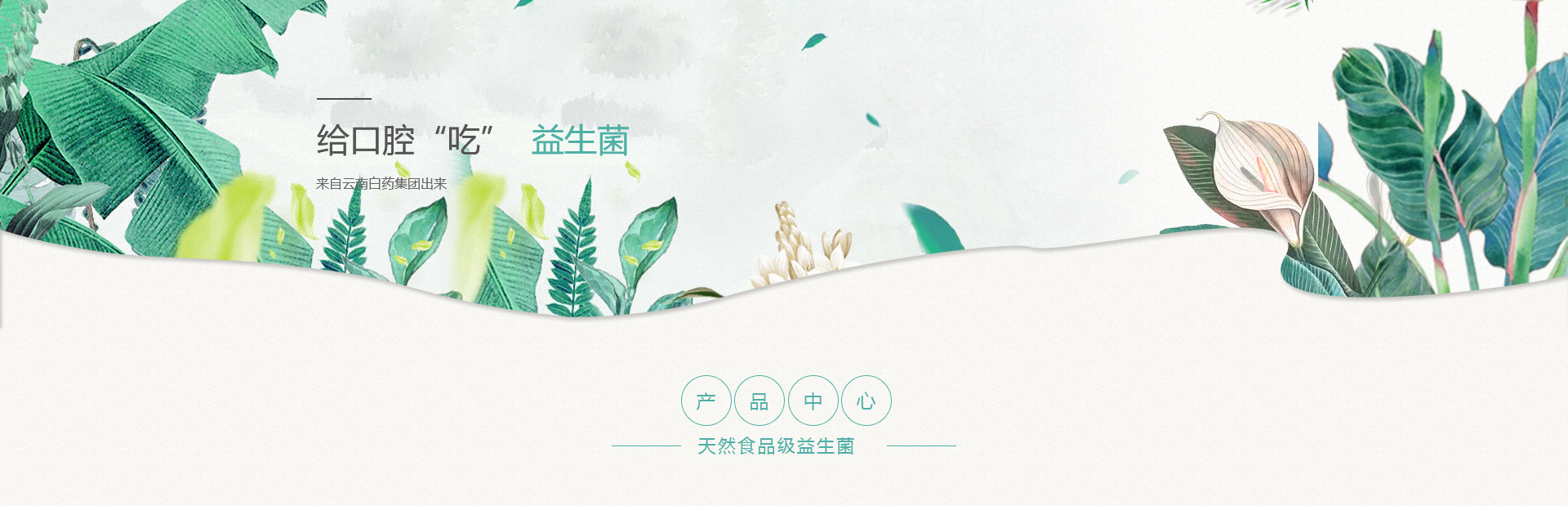 Ӯ(VWIN)ٷվ-ACٷ