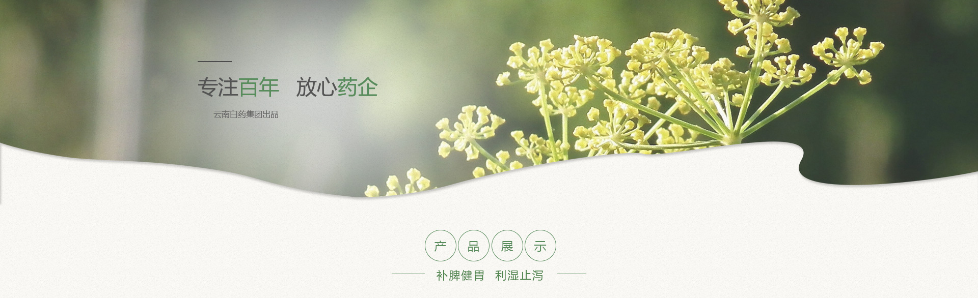 Ӯ(VWIN)ٷվ-ACٷ