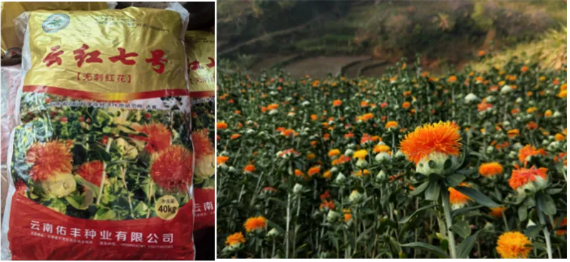 德赢·(VWIN)官方网站-AC米兰官方相助同伴