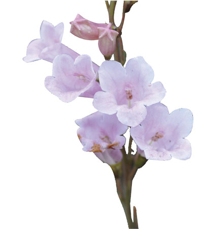 Ӯ(VWIN)ٷվ-ACٷ